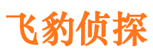 南岔市婚姻出轨调查